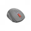 Canyon Ratón óptico inalámbrico 2.4 GHz de 6 botones, Gris oscuro