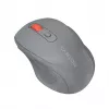 Canyon Ratón óptico inalámbrico 2.4 GHz de 6 botones, Gris oscuro