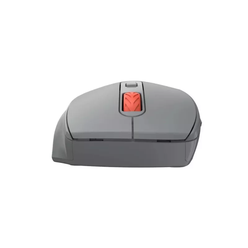 Canyon Ratón óptico inalámbrico 2.4 GHz de 6 botones, Gris oscuro