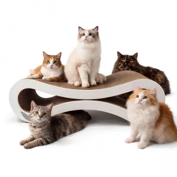 MOZOS KITTY-SPIKE Rascador y cama para gatos, cartón, grande, 86 cm XXL