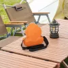 SUNNYLIFE Funda rígida de transporte para dron DJI Flip con correa - Naranja / FP-SN953-C