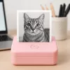 LOVEINSTANT X6 Impresora térmica Bluetooth para fotos, pegatinas, notas, etiquetas, rosa