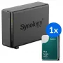 Synology DS124 + 1x HAT3310-12T (12TB) NAS de sobremesa de 1 bahía