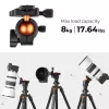 K&F Concept K234A0 + BH-28L trípode