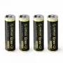 ORICO Ener-G EG5C Batería AA LiPo recargable de 1,5 V 2100 mWh con cable de carga USB-C, pack de 4
