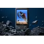 Insta360 X3 Protector de pantalla