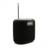 Altavoz exterior impermeable Pure Acoustics Pure Woodland Mini con radio FM/DAB+, negro