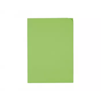 ELCO Ordo Discreta carpeta de organización A4, 220 x 310 mm, 120 g/m², verde intenso, 100 uds. (29466.62)