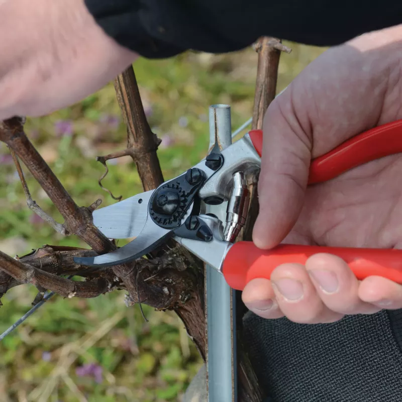 Tijeras de podar de yunque FELCO FELCO-7, para diestros, mango giratorio, capacidad de corte 25 mm