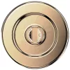 Popsockets Round Radial Gold Aluminum MagSafe Sujeta y soporte para teléfono Gold 807259