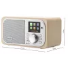 GOGEN IR237BTDAB radio por internet con DAB+, FM, Bluetooth, Wi-Fi y pantalla LCD en color de 2,4 pulgadas