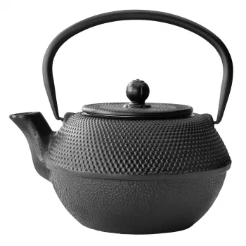 Bredemeijer Tetera Jang 1,1L hierro fundido negro con filtro G002Z