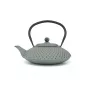 Bredemeijer Tetera de Hierro Fundido Xilin 1,25L Verde Claro 153090