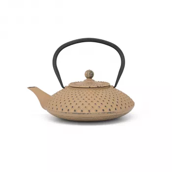 Bredemeijer Tetera de Hierro Fundido Xilin 1,25L Camel