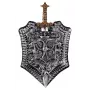Souza! Set de juego de rol Milan escudo y espada de caballero 105386