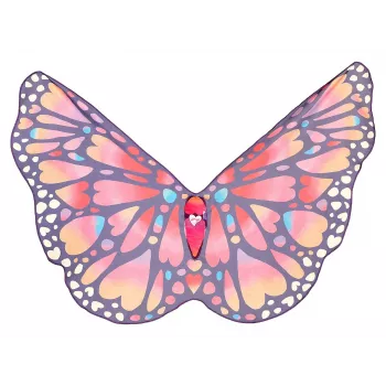 Souza! Alas de disfraz de mariposa Papillon para niños