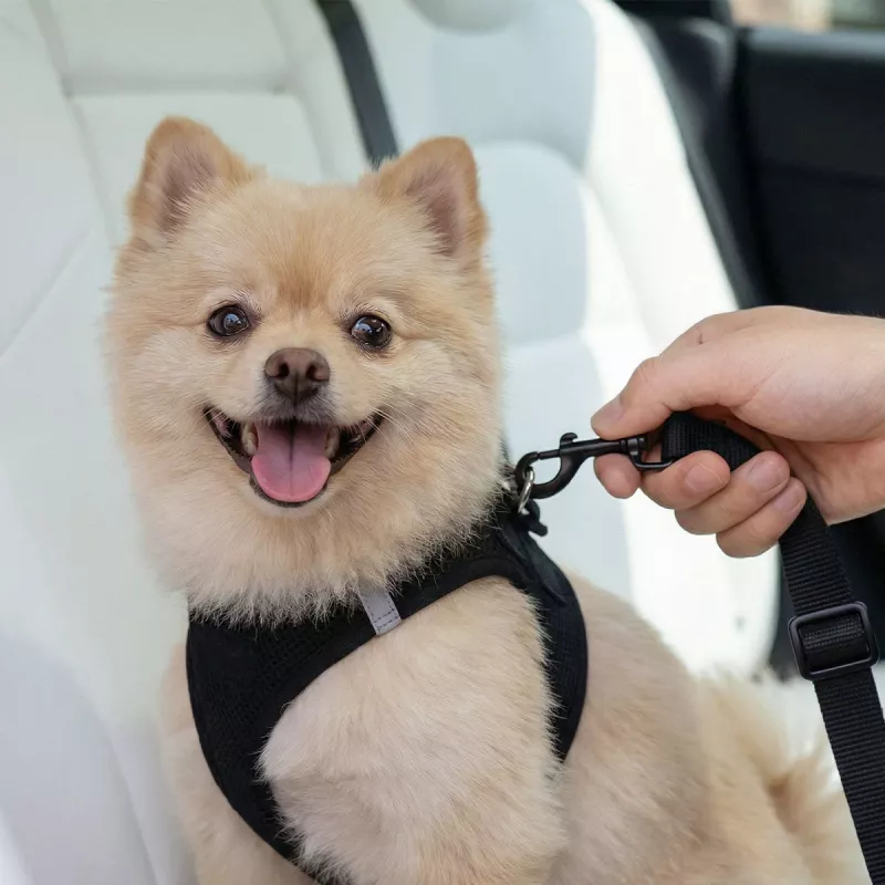 SPIGEN PS100 Soporte Universal para Cinturón de Seguridad del Coche para Mascotas Negro