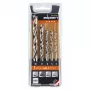 ALPEN-MAYKESTAG Alpen PTM 5 Profi Holz set de brocas para madera 4-5-6-8-10, pack de 5, 4-10 mm