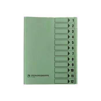 Carpeta organizadora Bene 12 compartimentos verde A4
