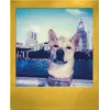 Polaroid Go / Go Gen 2 Película instantánea - 16 fotos - Marco dorado