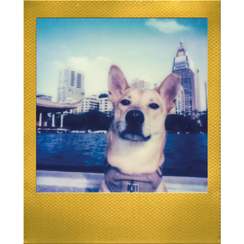 Polaroid Go / Go Gen 2 Película instantánea - 16 fotos - Marco dorado