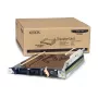 Xerox Phaser 7400 Correa de Transferencia - OEM - 108R00647