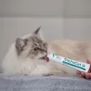 VETEXPERT TrichoCat Pasta anti-bolas de pelo para gatos 50 g