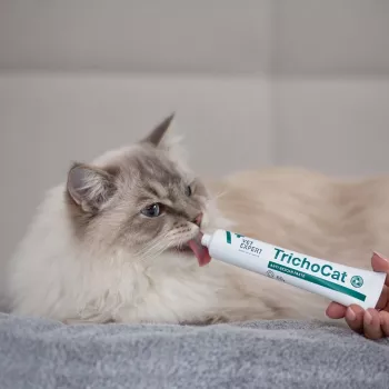 VETEXPERT TrichoCat Pasta anti-bolas de pelo para gatos 50 g