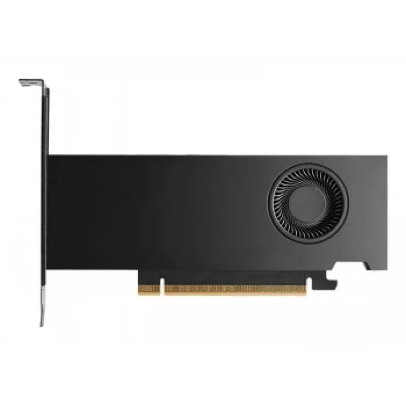DELL NVIDIA RTX PRO 2000 BLACKWELL tarjeta gráfica profesional 16 GB GDDR7 4x mini-DisplayPort perfil completo de una ranura
