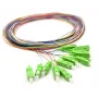 12x Pigtail SC/APC monomodo G.657.A2 2m conectores dorados