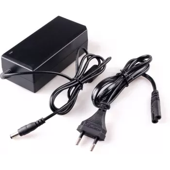 DELTA fuente de alimentación conmutada 12V 5A 60W
