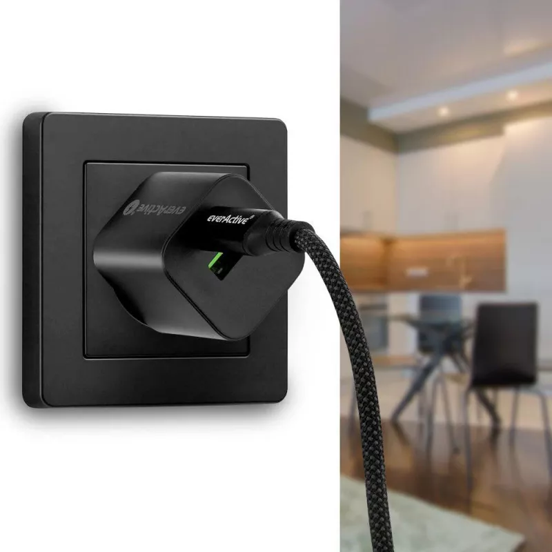Cable USB-C a USB-C 2m 100W pantalla LCD de potencia everActive CBB-2PD5L