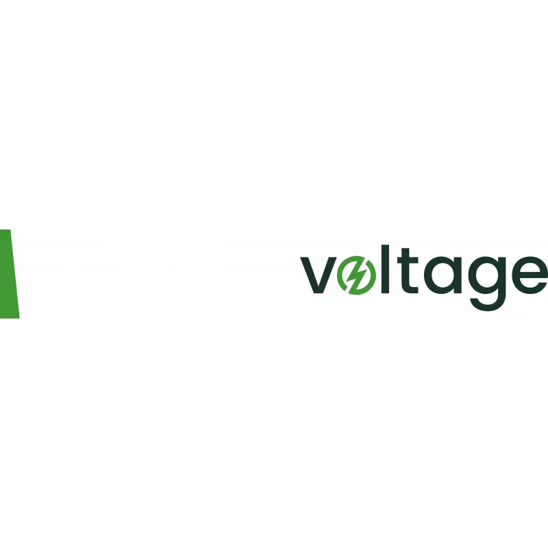 VOLTAGE batería AGM 12V 120Ah VE12-120 (6-9 años de vida útil)