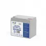 VOLT POLSKA Batería LiFePO4 12V 60Ah 60A