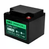 GREEN CELL AGM VRLA 12V 50Ah Batería sin mantenimiento para SAI, 197x166x170mm