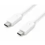 Accura Cable USB-C a USB-C 2,0 m 100 W Blanco