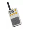 Redleaf W1A walkie-talkie