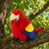 LEAN TOYS Loro de peluche Guacamayo Ave exótica Mascota Peluche rojo 24 cm