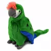 LEAN TOYS Loro de peluche Guacamayo Ave exótica Mascota Peluche verde 24 cm