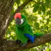 LEAN TOYS Loro de peluche Guacamayo Ave exótica Mascota Peluche verde 24 cm