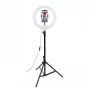 CELLY Ring Professional trípode con luz - 160 cm, panel LED anular de 10