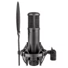 Micrófono de condensador de estudio sE Electronics sE2200 Black