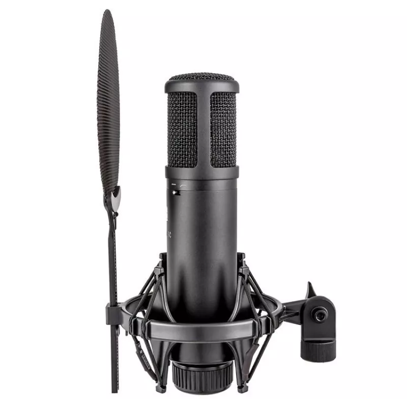 Micrófono de condensador de estudio sE Electronics sE2200 Black