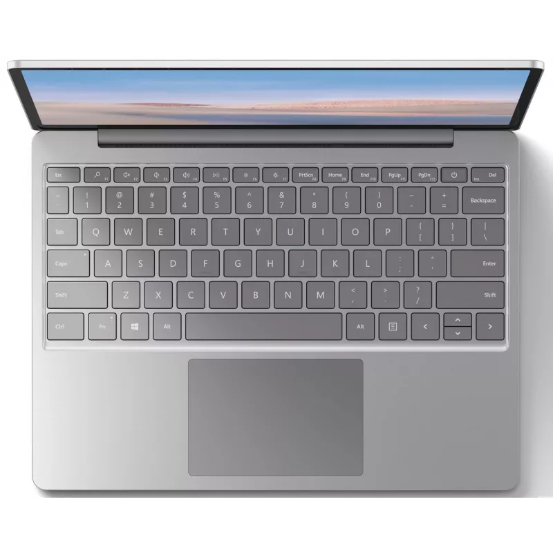 Microsoft Surface Go Intel Core i5-1035G4 8GB RAM 256GB SSD 12,3
