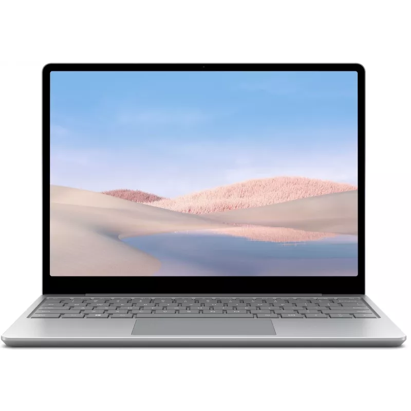 Microsoft Surface Go Intel Core i5-1035G4 8GB RAM 256GB SSD 12,3