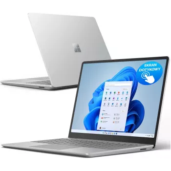 Microsoft Surface Go Intel Core i5-1035G4 8GB RAM 256GB SSD 12,3