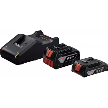 Starter-Set 18V (GBA 18V 4.0/2.0Ah + GAL 18V-40 Professional) (negro, 2x batería Li-Ion, AMPShare Alliance)