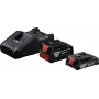 Starter-Set 18V (GBA 18V 4.0/2.0Ah + GAL 18V-40 Professional) (negro, 2x batería Li-Ion, AMPShare Alliance)