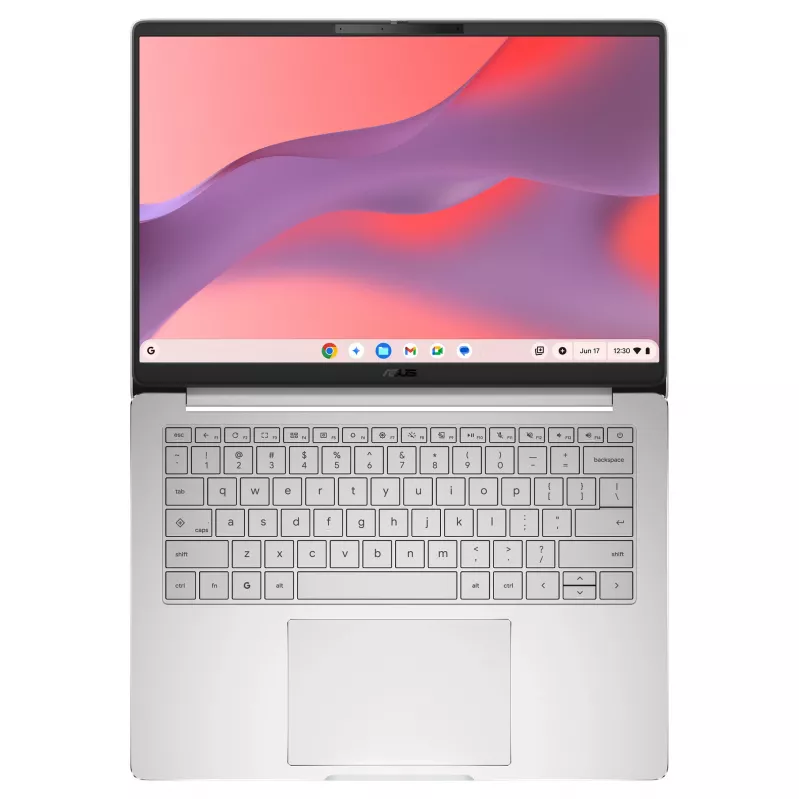 ASUS Chromebook CM14 CM1406CM4A-LY0050 14
