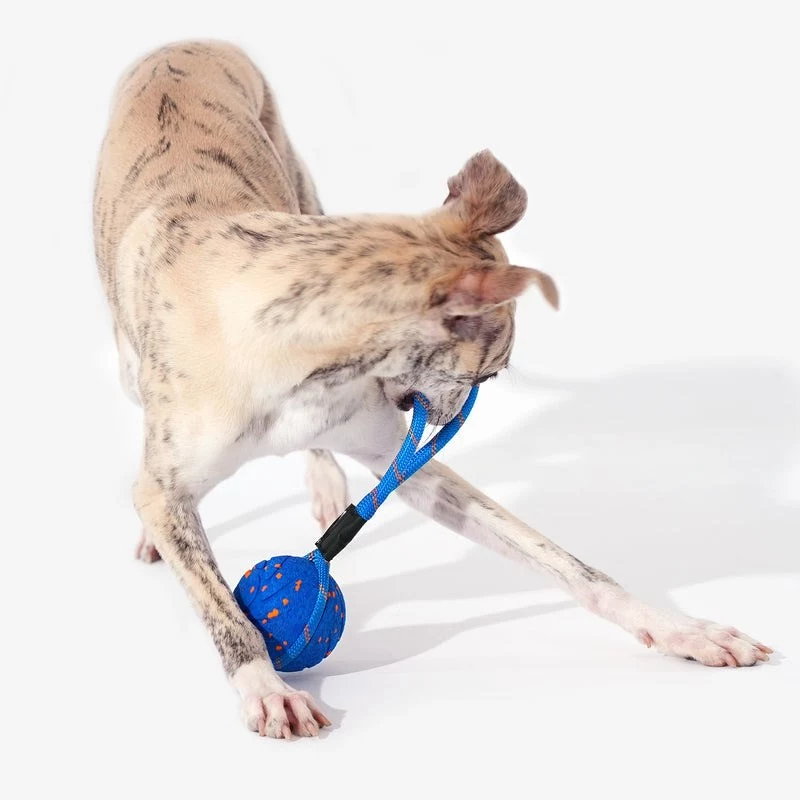 Cheerble Wicked Ball Air Rope juguete para perros, Royal Blue